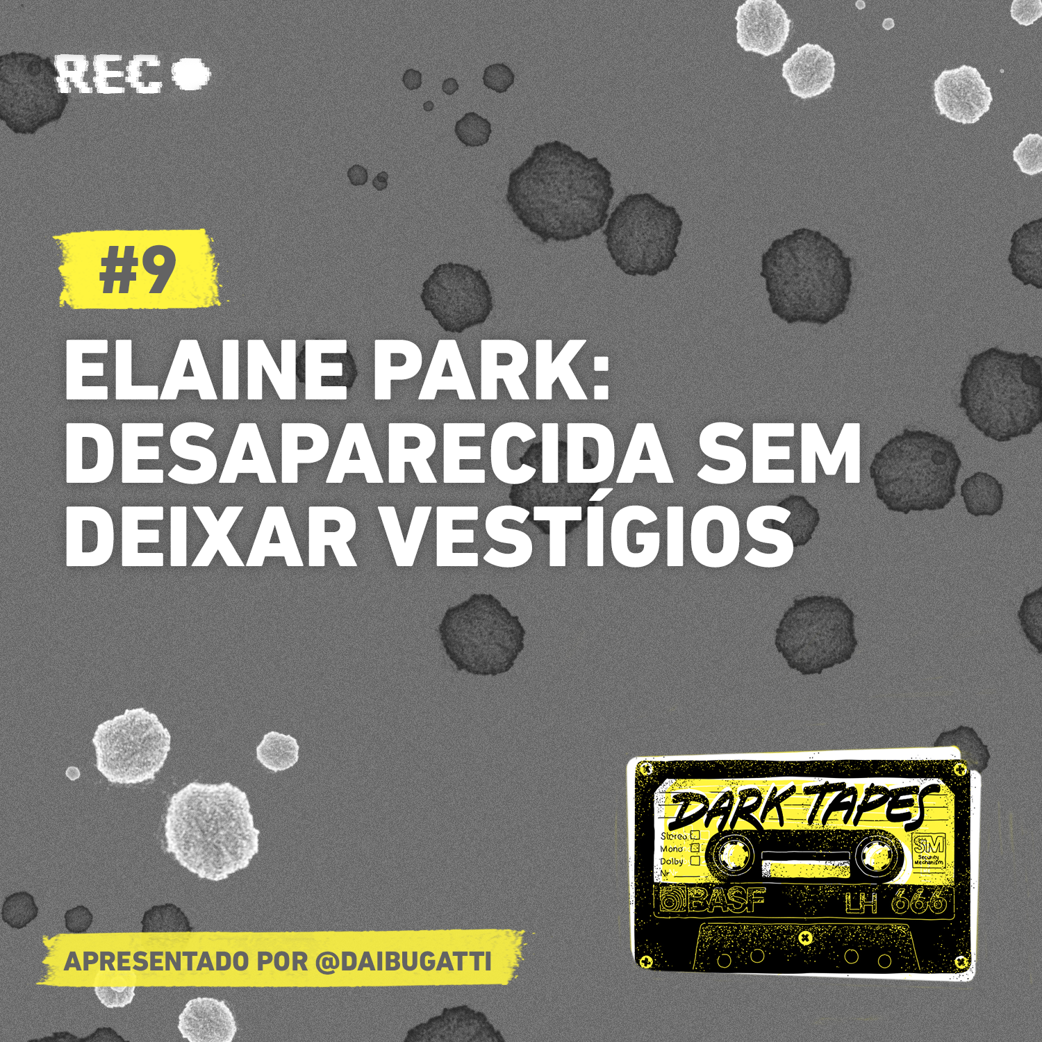 9 elaine park desaparecida sem deixar vestigios