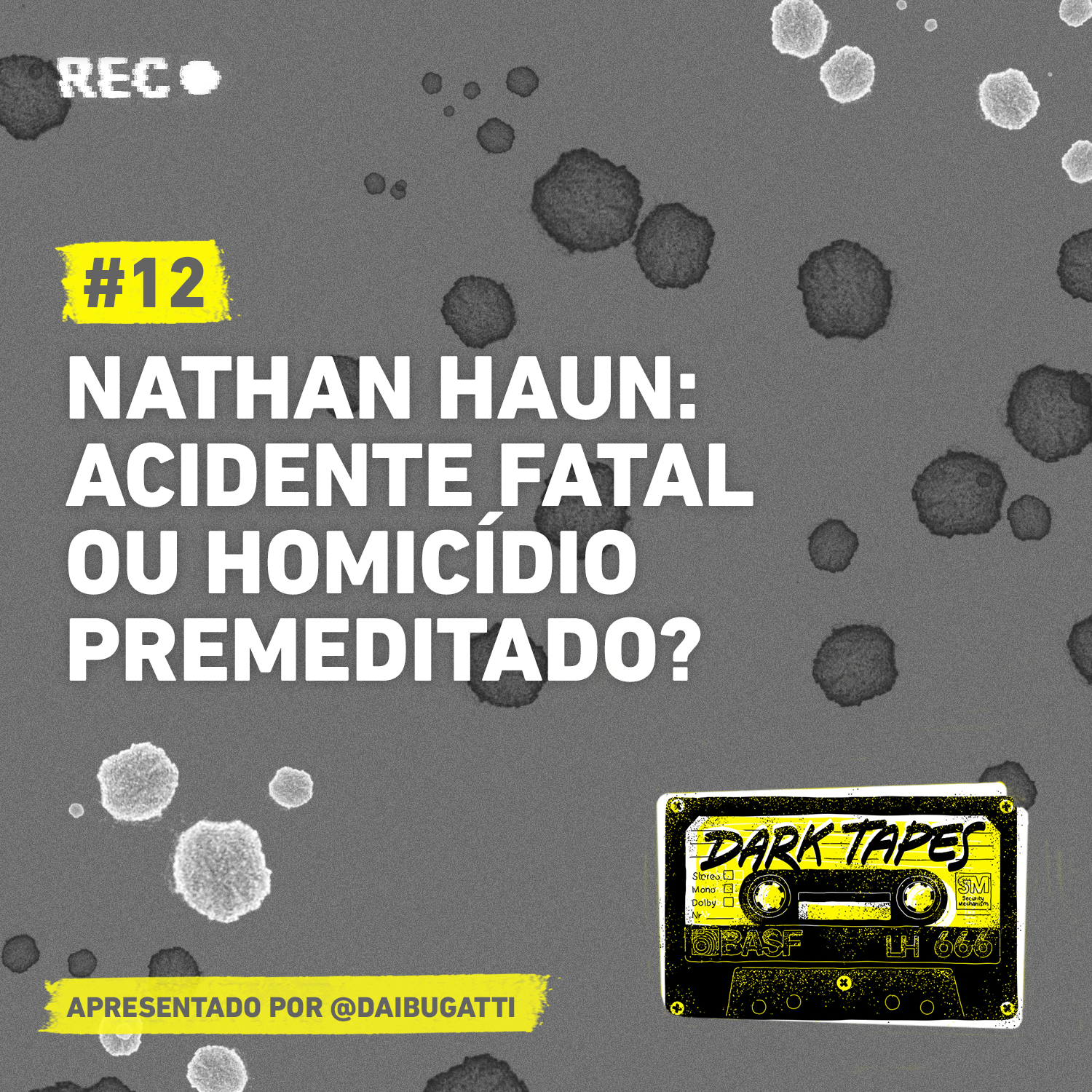 12-nathan-haun-acidente-fatal-ou-homicidio-premeditado